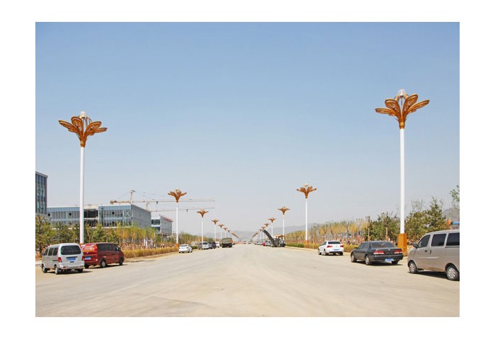 昌南某路段道路灯亮化工程